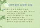 국제적인 환경 문제 11페이지