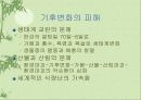 국제적인 환경 문제 13페이지
