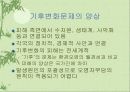 국제적인 환경 문제 15페이지