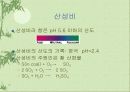국제적인 환경 문제 21페이지