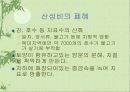 국제적인 환경 문제 22페이지