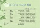 국제적인 환경 문제 27페이지