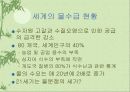 국제적인 환경 문제 28페이지