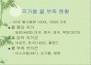 국제적인 환경 문제 29페이지