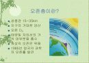 국제적인 환경 문제 30페이지