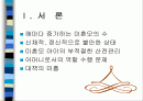미혼모의 문제점과 현황 해결방안 2페이지