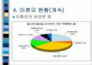 미혼모의 문제점과 현황 해결방안 15페이지