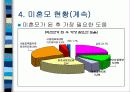 미혼모의 문제점과 현황 해결방안 16페이지