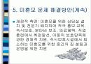 미혼모의 문제점과 현황 해결방안 19페이지