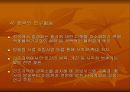 황사에 대해서… 27페이지