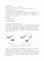 Oscilloscope 5페이지