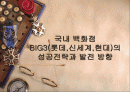 국내 백화점BIG3(롯데,신세계,현대)의 성공전략과 발전 방향 1페이지