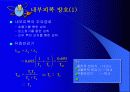 방사선장해방어에 대해서… 13페이지
