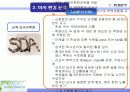 [마케팅] 레몬잉글리쉬(Lemon English) 마케팅 전략 분석 14페이지