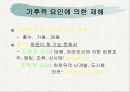 자연재해에 대하여… 11페이지