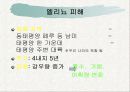 자연재해에 대하여… 17페이지