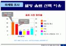 웰빙 음료의 새로운 방향 - “미녀는 석류를 좋아해” 마케팅 사례 통해서 4페이지