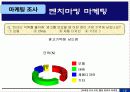 웰빙 음료의 새로운 방향 - “미녀는 석류를 좋아해” 마케팅 사례 통해서 15페이지