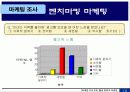 웰빙 음료의 새로운 방향 - “미녀는 석류를 좋아해” 마케팅 사례 통해서 16페이지