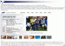 국내 스포츠 마케팅의 현황과 나아가야할 길 15페이지