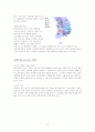 남양유업 불가리스 프라임 광고 전략 보고서 16페이지
