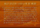 빈곤문제의 현황 및 대책 10페이지