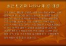 빈곤문제의 현황 및 대책 14페이지
