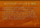 빈곤문제의 현황 및 대책 15페이지
