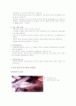 난소난종 14페이지