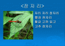 유아 동시(3편)/동화(1편)(파워포인트) 2페이지