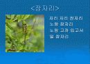 유아 동시(3편)/동화(1편)(파워포인트) 3페이지