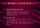 국내&외 테마 파크의 성공과 실패분석 8페이지