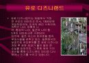 국내&외 테마 파크의 성공과 실패분석 15페이지