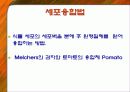 식물의 형질전환 4페이지