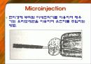 식물의 형질전환 10페이지