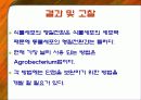 식물의 형질전환 12페이지