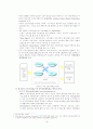 지역인적자원 개발(RHRD)에 관하여-현재동향, 문제점, 사례를 중심으로 19페이지