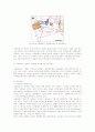 낙동강하구 일대의 자연환경 보존을 위한 관리방안 9페이지