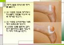 대체보완간호학 - 테이핑 요법(사진 有) 32페이지