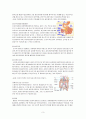 해부생리학 -소화기계정리- 3페이지