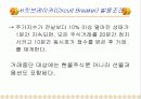 [투자론] 매매거래중단제도 6페이지