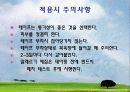 테이핑요법 파워포인트 15페이지