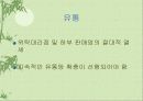 [마케팅] 삐삐 012 광고전략 12페이지