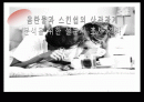 [조사분석] 음란물과 스킨쉽의 상관관계 분석을 위한 설문지 조사 결과 1페이지