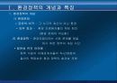[경영] 정부의 입장에서 본 환경경영 3페이지