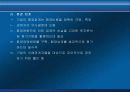 [경영] 정부의 입장에서 본 환경경영 27페이지