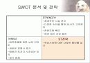 [마케팅] 퍼피텔의 마케팅 전략 7페이지