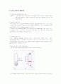 대장균의 플라스미드 DNA 추출방법 1페이지