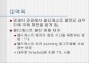 MBONE(ip-멀티테스킹) 15페이지