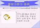 적조현상에 대해서.. 7페이지